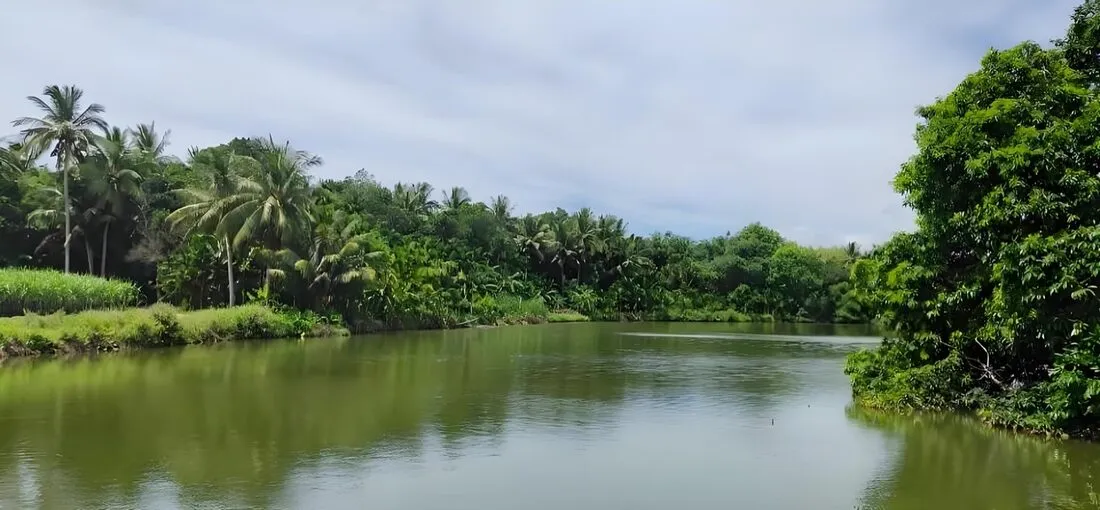 Rivière tropicale naturelle, habitat de la pêche du snakehead à la mouche