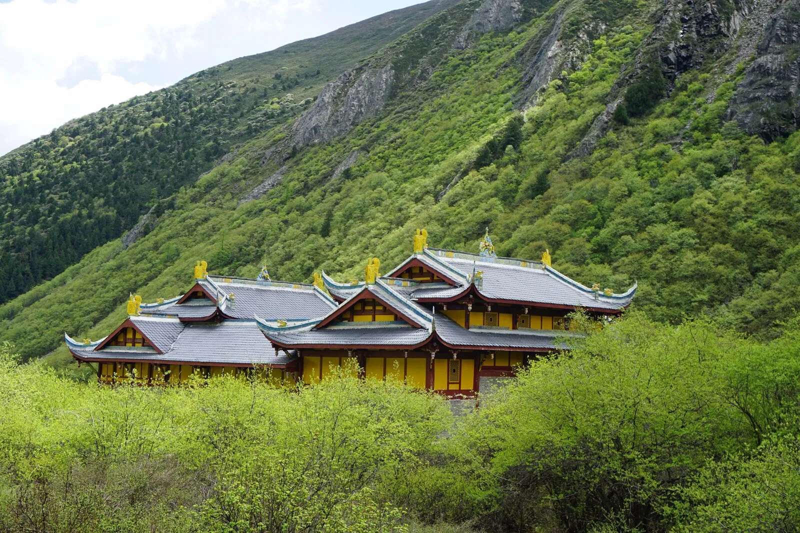 Temple bouddhiste à flanc de montagne verte sur le plateau du Sichuan